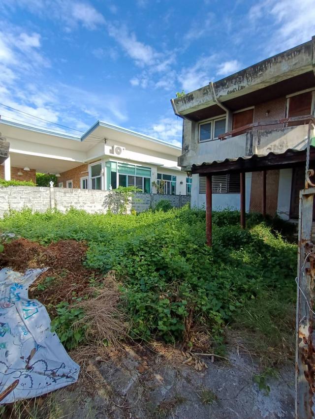 ขายที่ดิน+บ้านเก่า เนื้อที่ 75 ตร.ว. หมู่บ้านเมืองทอง 4 ซ.ปุณณวิถี 53 (สุขุมวิท 101) ทำเลดี อยู่ใจกลางเมือง