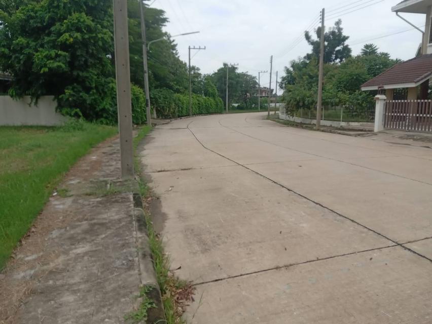 ขายที่ดินเปล่า 235 ตรว. ติดถนนคอนกรีต ติดทะเลสาบขนาดใหญ่ โครงการหมู่บ้านเดอะลากูน 1 5