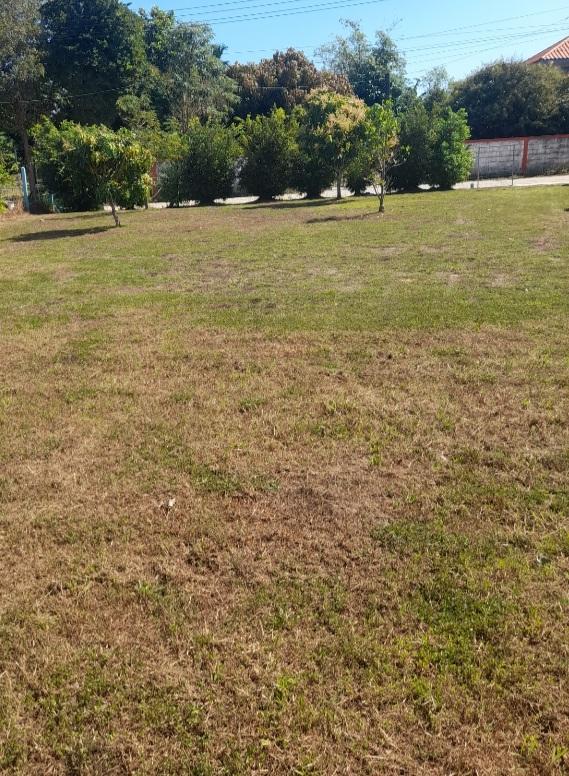 ที่ดินใกล้หาดแม่รำพึง 1