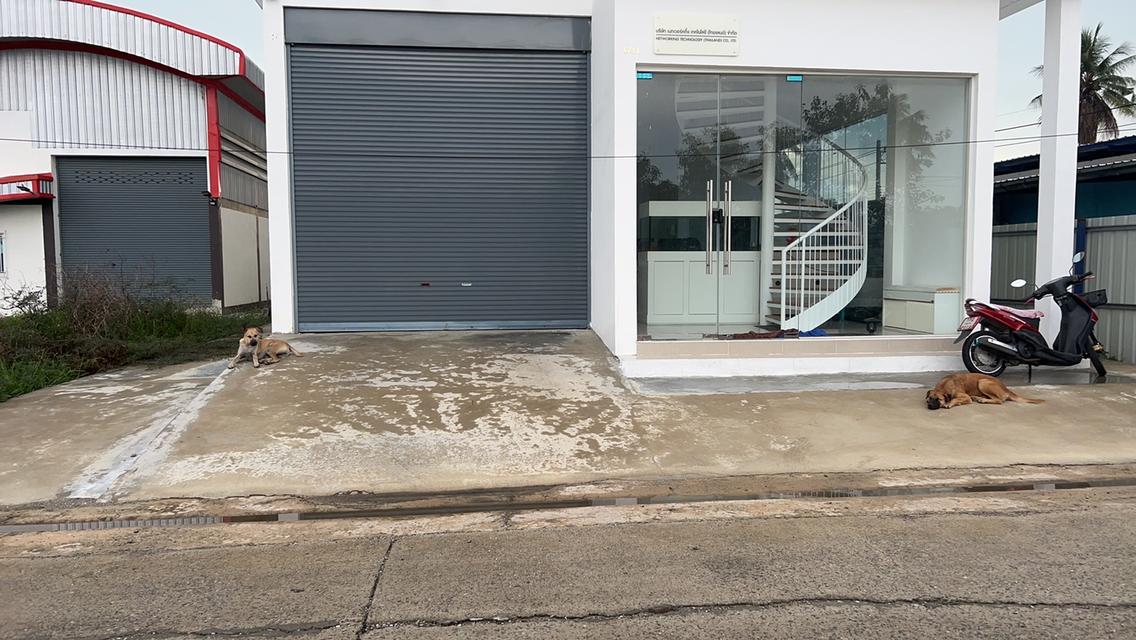 ขายโกดังพร้อมที่ดิน สามารถทำโรงงานได้ ปทุมธานี ลาดหลุมแก้ว 2