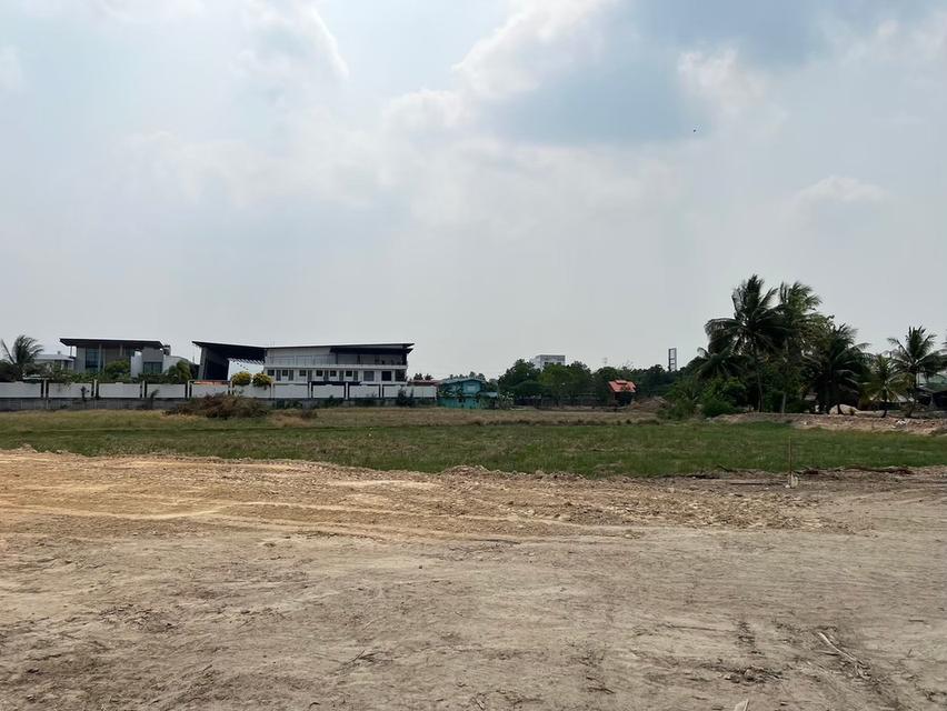 ที่ดินขนาด12ไร่ในจังหวัดนครสวรรค์ ถมแล้วพร้อมใช้งาน 8