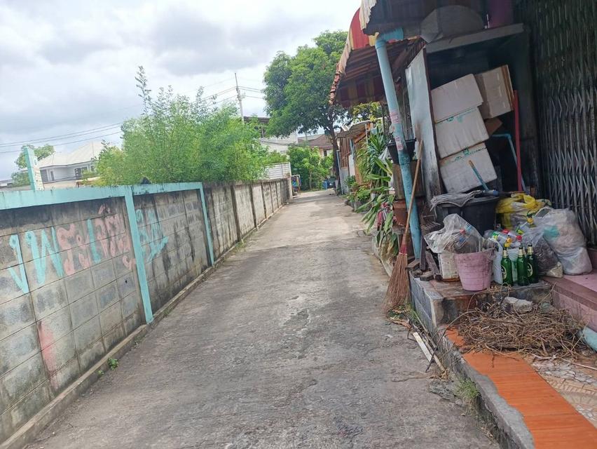 อาคารพาณิชย์ทำเลดีติดถนนสวนผัก 2