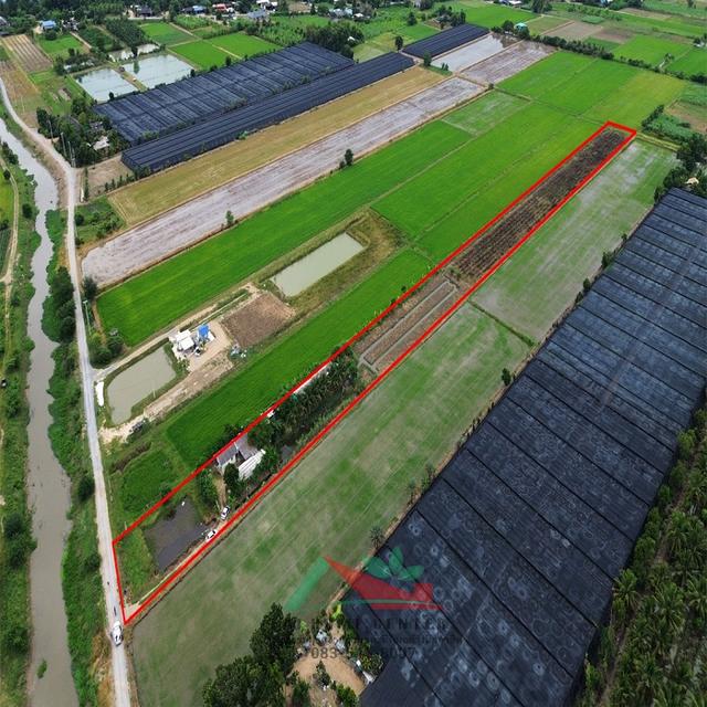 ขายที่ดิน6-0-45ไร่ ต.รางพิกุล อ.กำแพงแสน จ.นครปฐม ราคาพร้อมคุย