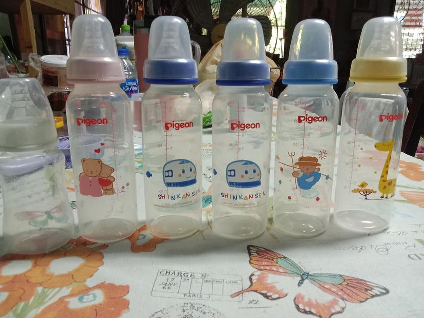 ขวดนมพีเจ้น