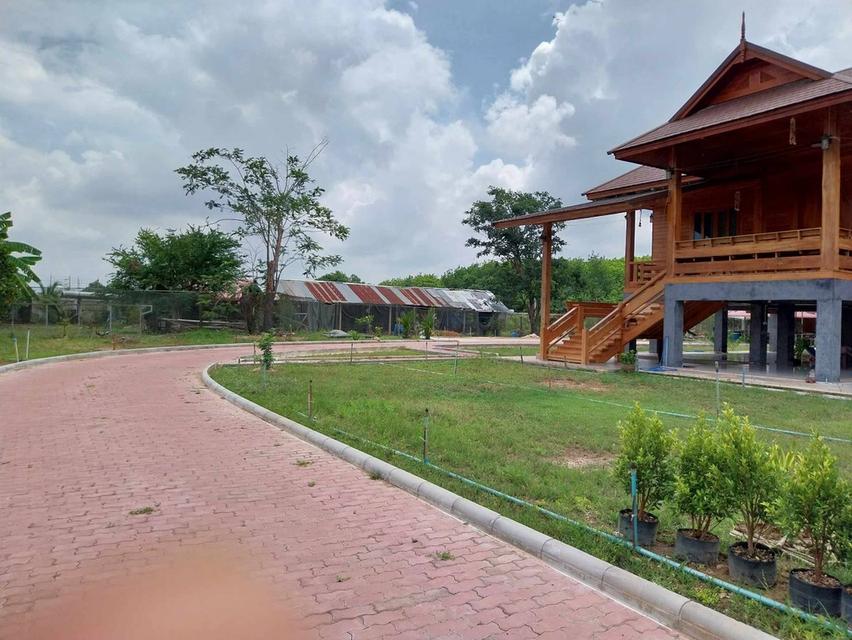 บ้านไม้สักและสวนธรรมชาติ 11