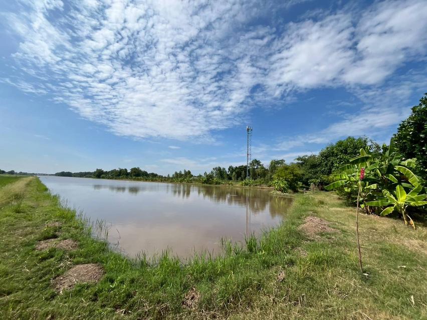 ขายที่ดินเปล่า เลียบคลองระพีพัฒน์ คลองสาม คลองหลวง ปทุมธานี 6