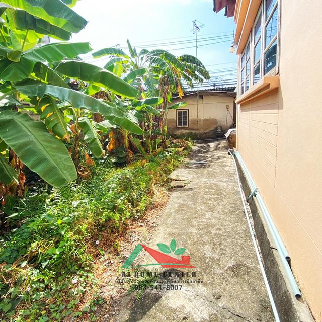 ขายบ้านสร้างเองพร้อมล็อคขายของ ขนาด70ตรว. ถ.ช่างอากาศอุทิศ แยกศิริสุข ทำเลดี ราคาพร้อมคุย 15