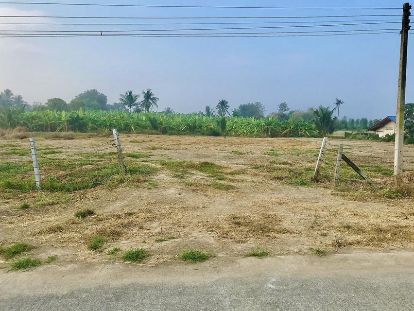 ที่ดิน จังหวัดอ่างทอง 5