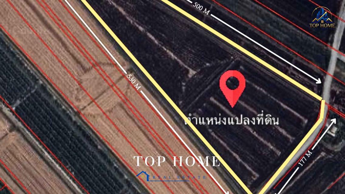 ขายด่วน! ที่ดินแปลงใหญ่ 30 ไร่ บางเลน ติดถนนลาดยาง ทำเลศักยภาพ เหมาะลงทุน 6