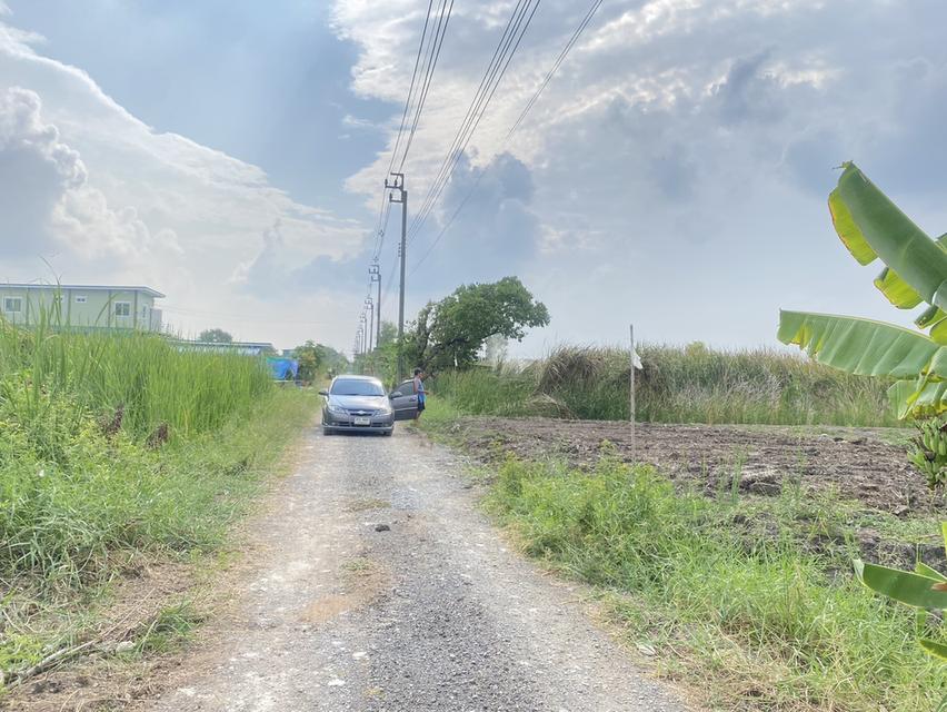 ขายที่ดินเปล่า ติดคลังสินค้า icd ลาดกระบัง 6