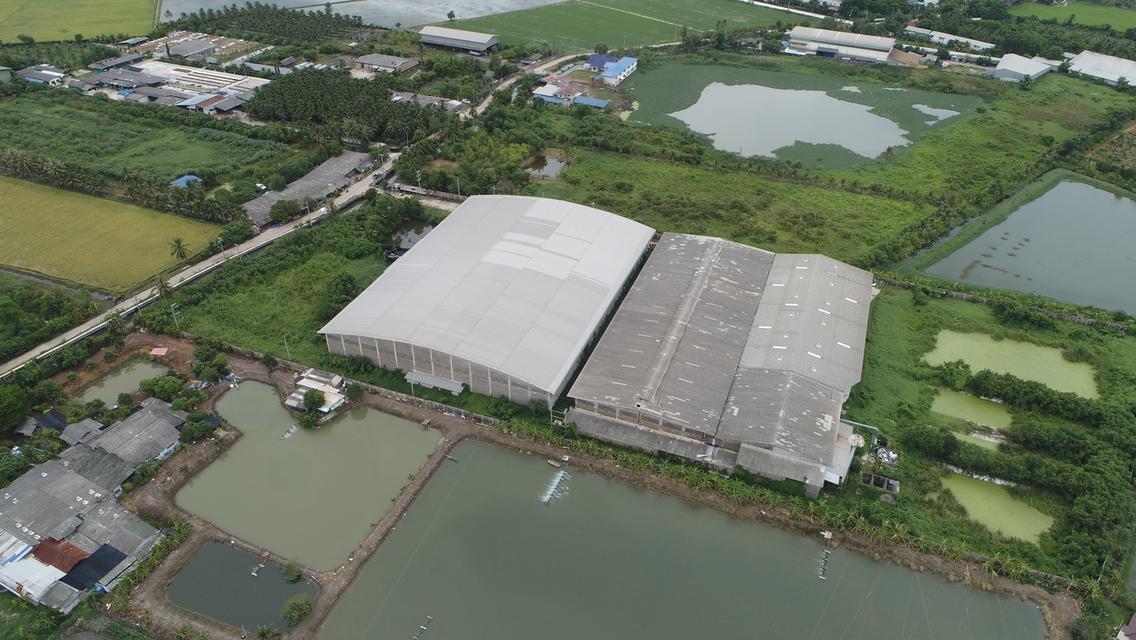 ขายด่วน โรงงาน 20 ไร่ อ.กระทุ่มแบน จ.สมุทรสาคร ราคาถูก ฮวงจุ้ยดี หันทิศดี 1