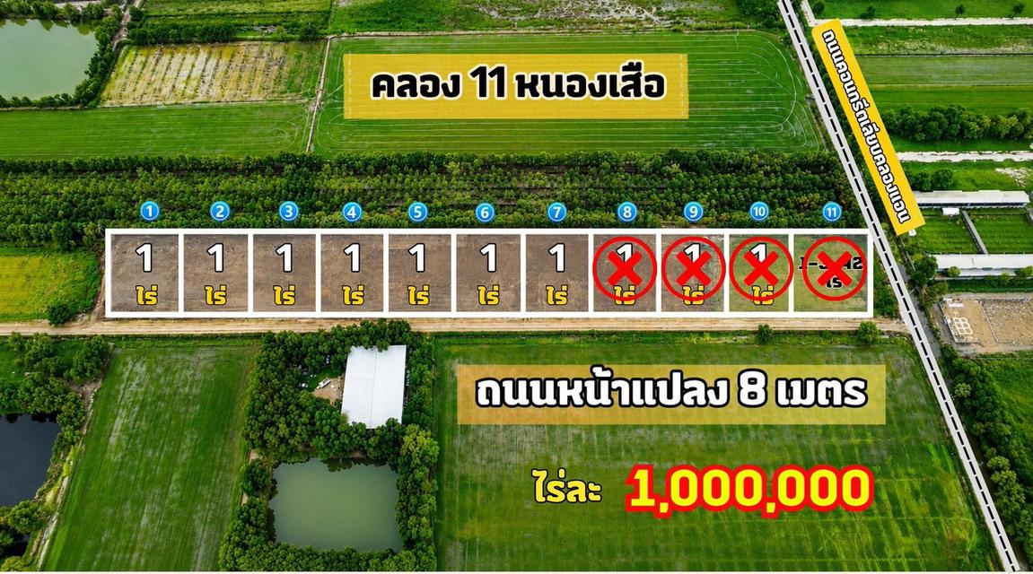 ขายที่ดินเปิดแปลงใหม่ คลอง 11 ตำบล บึงบา อำเภอ หนองเสือ ปทุมธานี 4