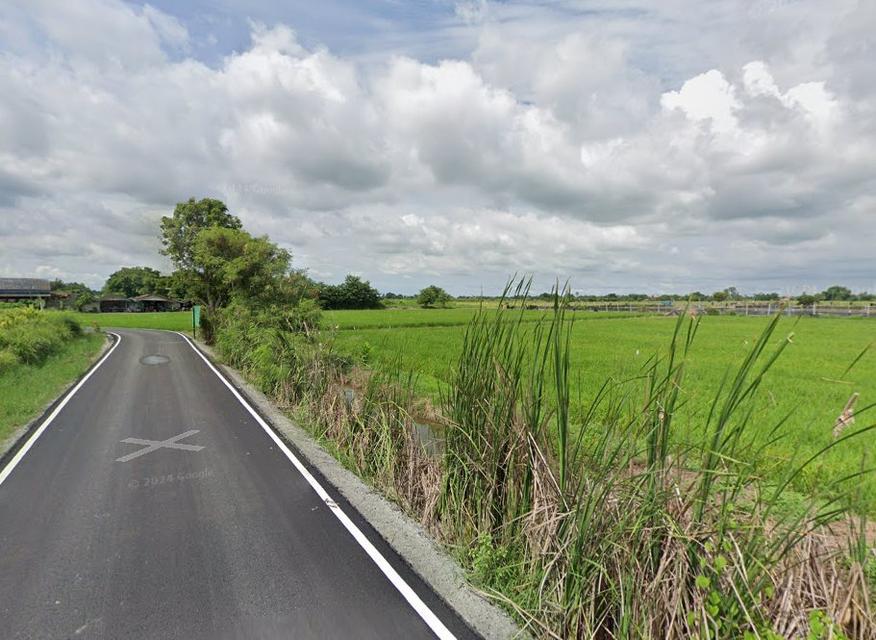 ขายที่ดินบางเตย 3 ไร่ ติดถนนลาดยาง ใกล้ถนนเส้นตัดใหม่วงแหวน365-4กม. เมืองฉะเชิงเทรา 4