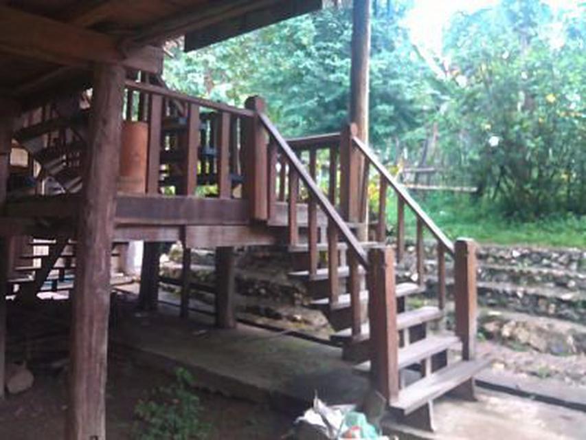 Lease Home Stay on the Hill Top Mountain 2