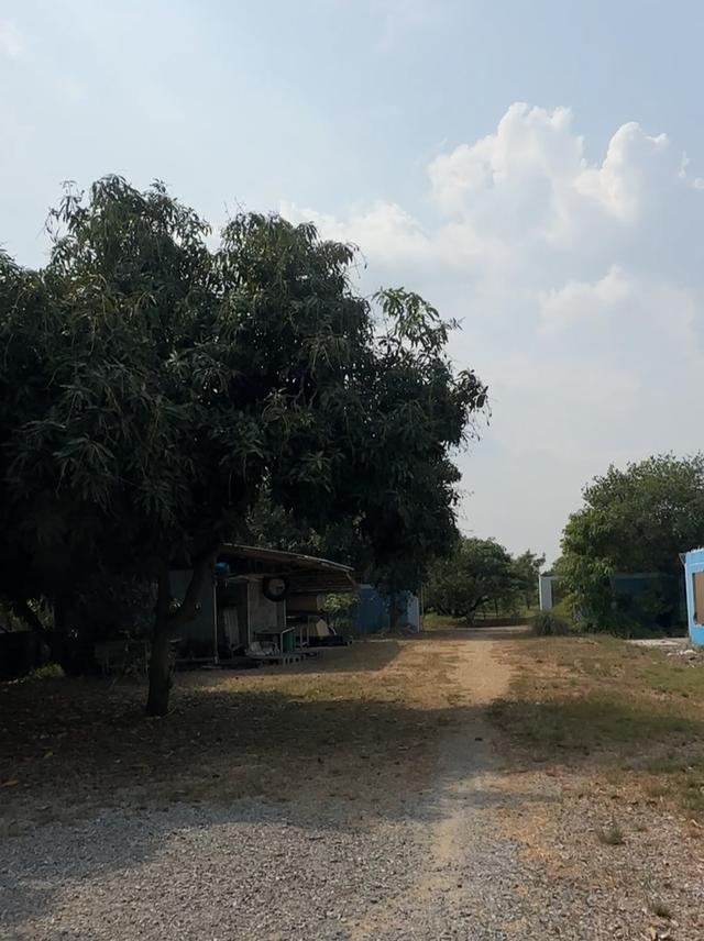 ขายที่ดิน 9 ไร่ 3 งาน อ.คลองหลวง จ.ปทุมธานี ทำเลทอง บรรยากาศดี ใกล้ถนนคลองหลวง 2