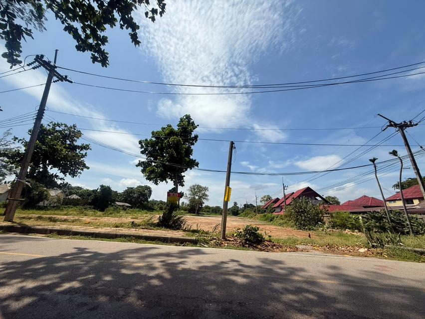 ขายที่ดิน จังหวัดระยอง ติดทะเล สวยที่สุดแปลงสุดท้าย 5