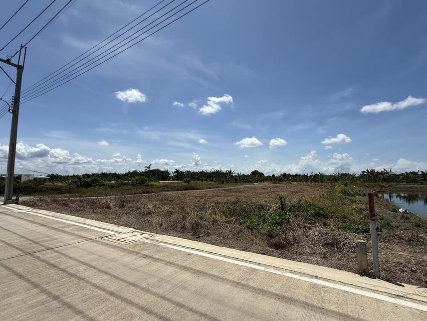 ขายที่ดิน 1 ไร่ ถมแล้ว ลาดกระบัง 54 2