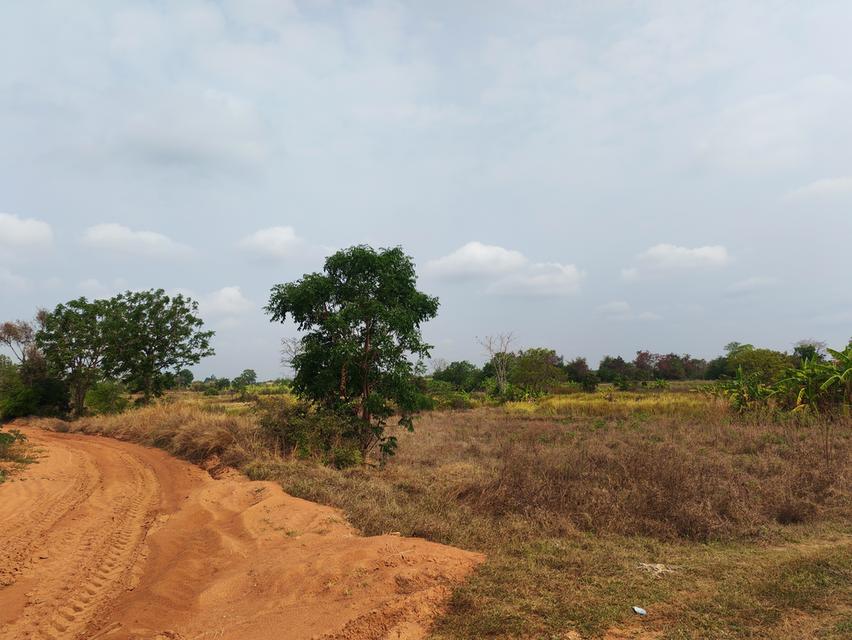 ขายด่วนที่ดิน ขายด่วน ที่ดินสวยแปลงใหญ่ 2แปลงติดกัน ไร่ละ 86,000 บาท จำนวน46-3-31 ไร่ และ 17-0-25 ไร่ เจ้าของคนเดียวกัน เป็นที่ไร่ผสมนา ติดทางสาธารณะท 5