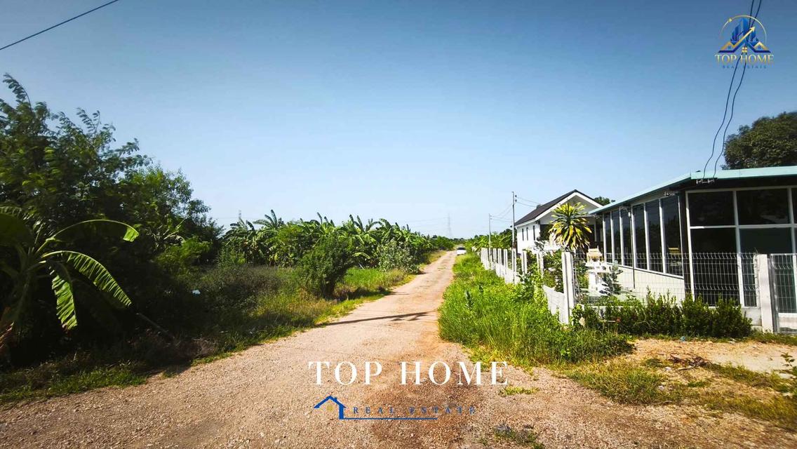 ขายที่ดินจัดสรรแปลงสวย ถมแล้ว ต.บางเตย อ.สามโคก จ.ปทุมธานี 17