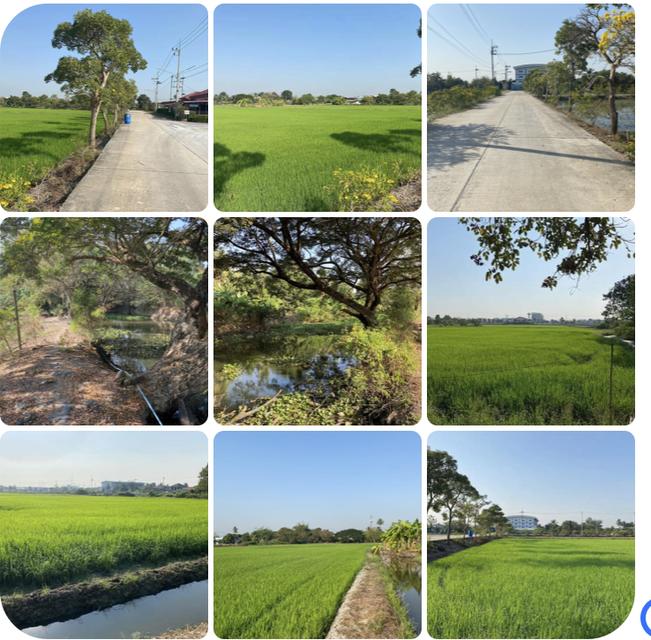 ขายที่ดิน 15-2-37.5 ไร่  หลังเซ็นทรัลศาลายา สามพราน นครปฐม  ที่สวย หน้ากว้าง ติดถนนคอนกรีตกว้าง 6.5 ม.  หลังติดคลอง สะดวก เข้าออกได้หลายทาง ทั้งบรมราช 1