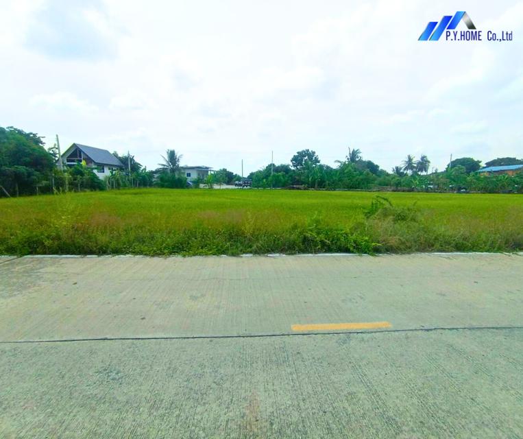 ขายที่ดินทำเลทอง บางหลวงใกล้ถนนราชพฤกษ์–346 ตัดใหม่ 2