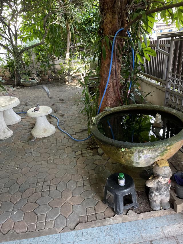  ขายบ้านเดี่ยวพร้อมอยู่  3