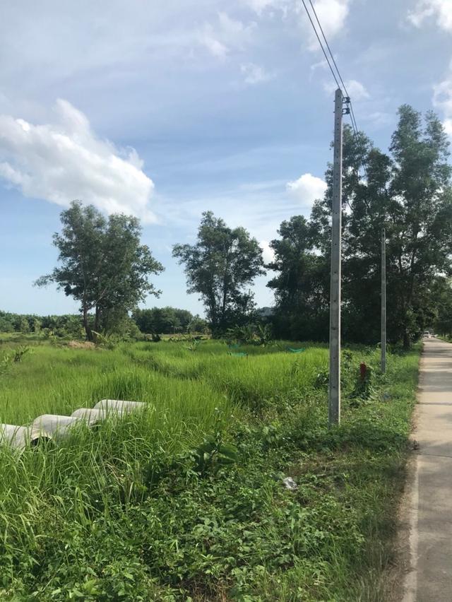 ขายที่ดินใกล้ทางเข้าเมืองชุมพร 5