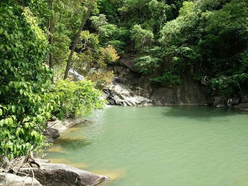 ที่ดิน สวนยางใกล้ทะเล วิวเขา ขนอม จ.นครศรีธรรมราช 3