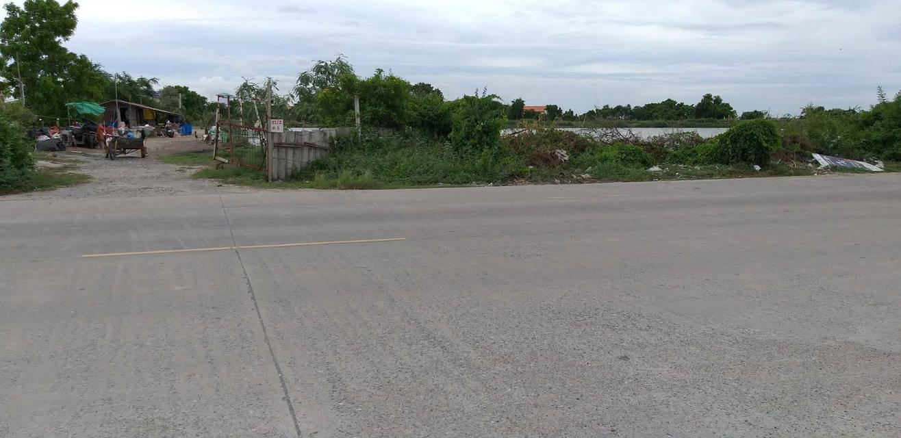 ขายที่ดิน 15 ไร่ขายไร่ละ 7 ล้าน อยู่บางเพรียง สมุทรปราการ มีทั้งหมด 20 ไร่ข่ายไปแล้ว 5 ไร่ 8