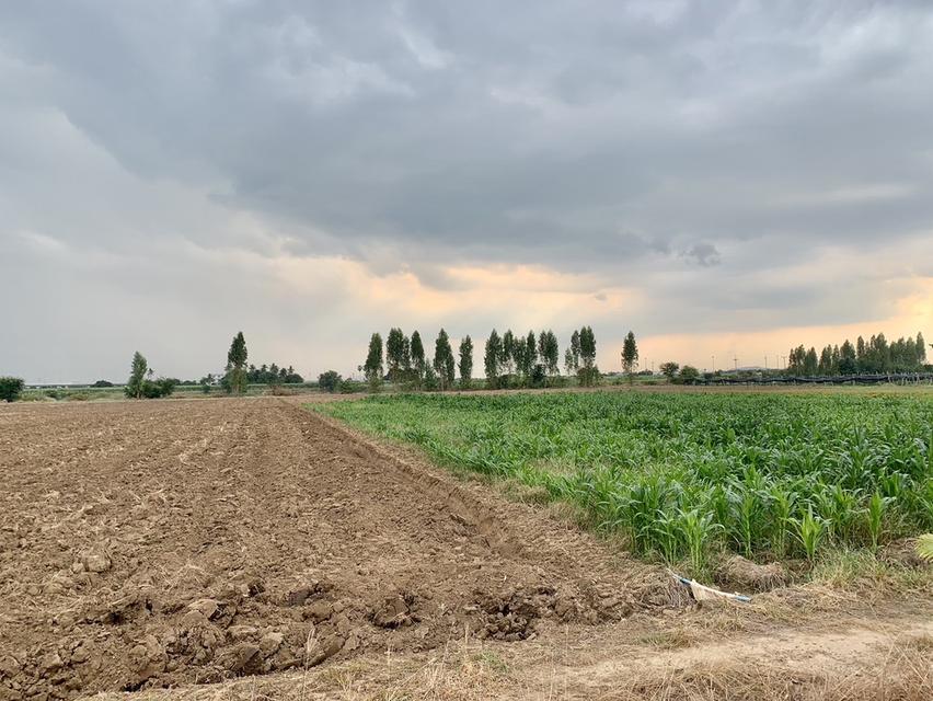 ขายที่ดินสวย16ไร่ ต.วังศาลา อ.ท่าม่วง แปลงสวย ทำเลดี แหล่งชุมชน ใกล้กรุงเทพ เดินทางสะดวก 3