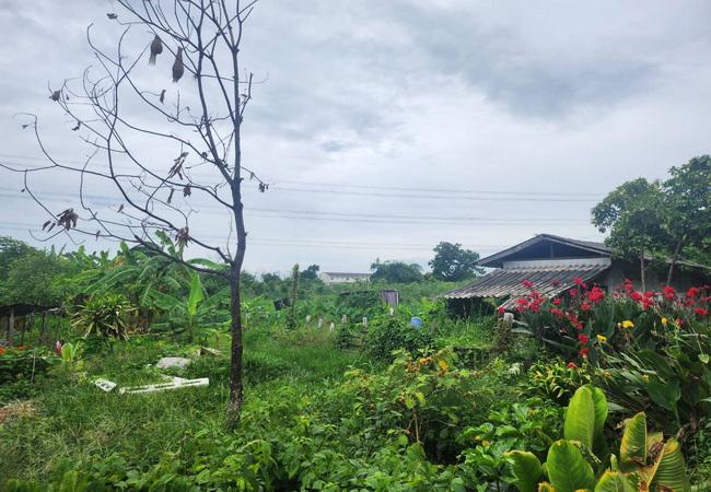 ขายที่ดิน หมู่บ้านนพวงศ์ ถนนปทุมธานี-บางเลน อำเภอลาดหลุมแก้ว ปทุมธานี 5