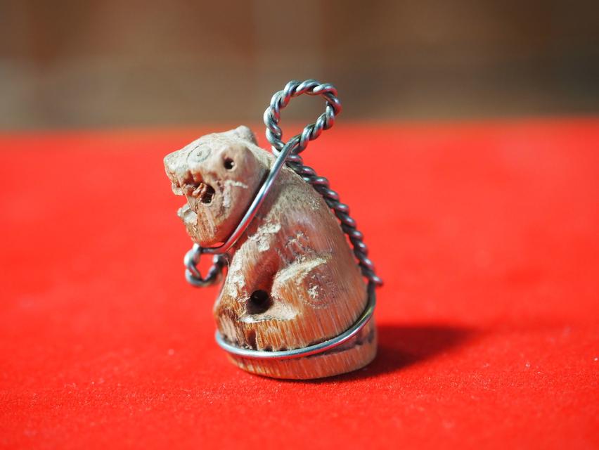 	เสือไม้แกะ หลวงตาแก่ 2