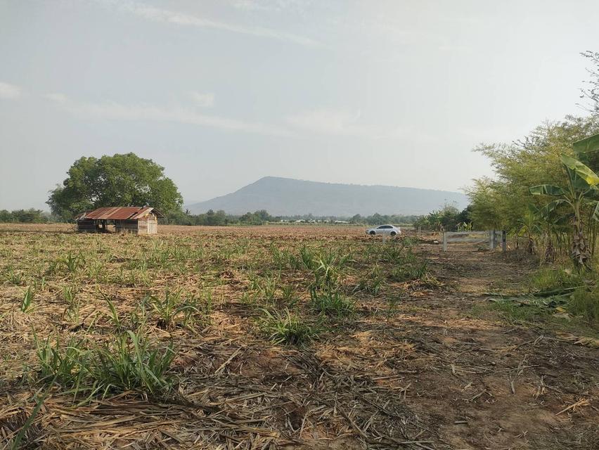 ประกาศขายที่ดินปากช่องแุถวรีสอร์ทบ้านนอกคอกนา ของฉันเอง 8