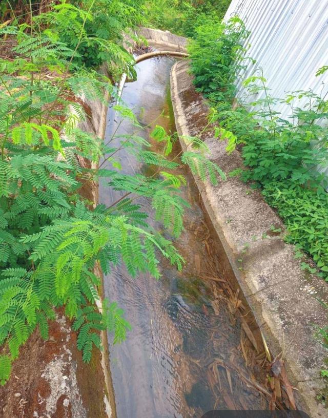 ขายด่วน 📌 ที่ดินเปล่า โฉนดพร้อมโอน 2