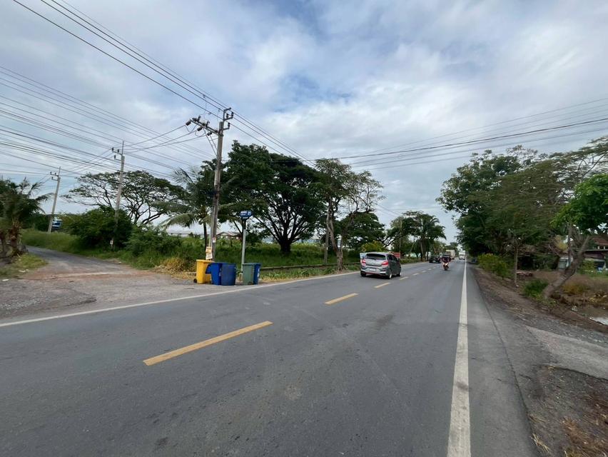 ขายที่ดินเปล่า ซอยผดุงพันธ์21 หนองจอก กรุงเทพมหานคร 4