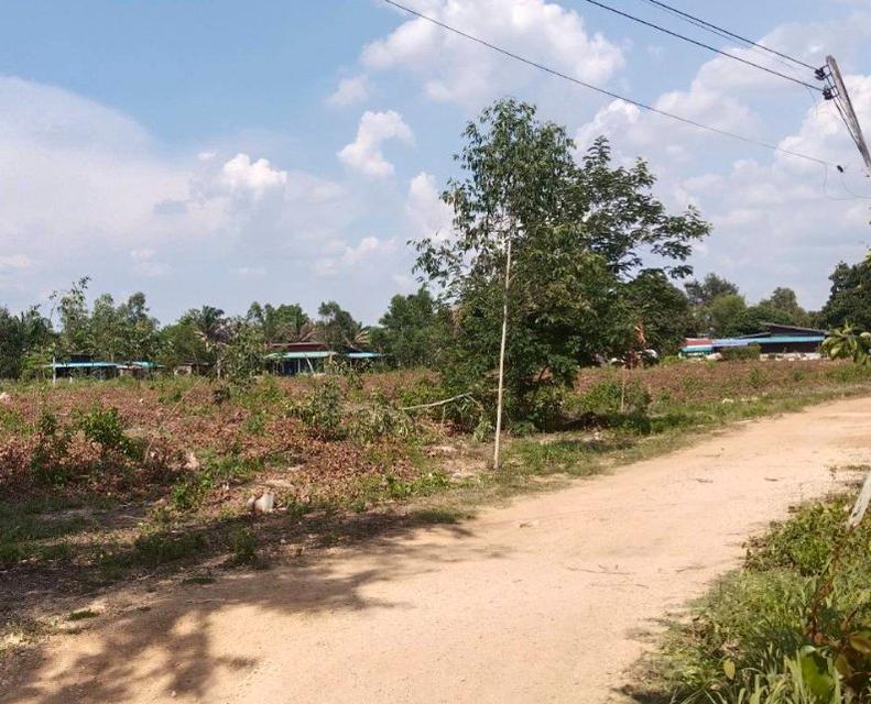 ขายที่ดินเมืองสระแก้ว 3 ไร่ หลังTOYOTAสระแก้ว ใกล้ถนนสุวรรณศร33-800เมตร จ.สระแก้ว 7