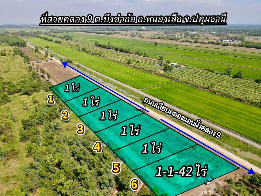 ขายที่ดินบึงกาสาม 1 ไร่ คลอง9 ติดถนนเลียบคลองแอน ใกล้ถนนเส้น5021-1กม. อ.หนองเสือ ปทุมธานี 1