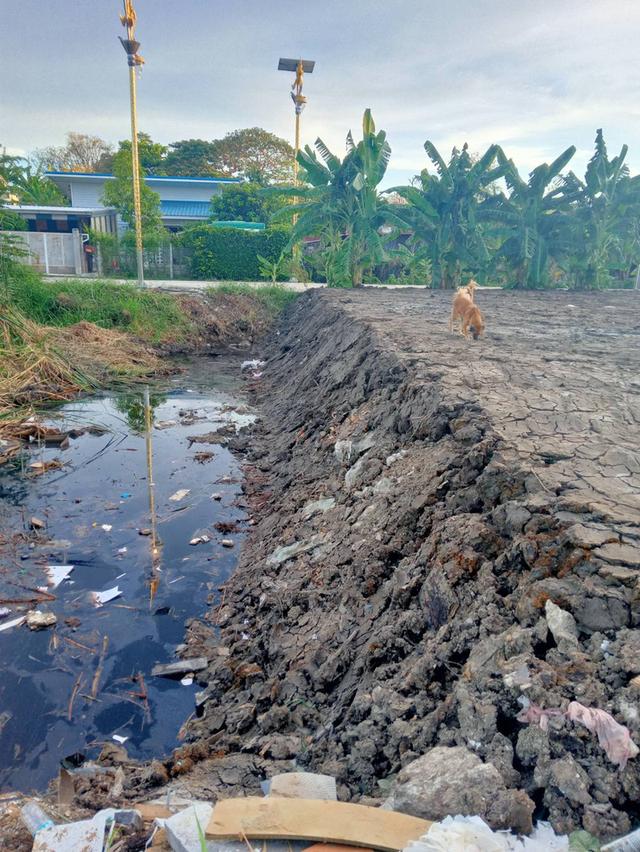 ขายที่ดิน 2แปลงติดกัน ซอยลาดกระบัง14/1 อ่อนนุช 5