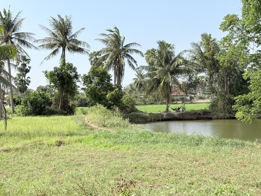 ที่ดินสวนเกษตรติดน้ำ D13 ใกล้ทะเล 2 ไร่ ยกแปลง 690,000 บาท 1