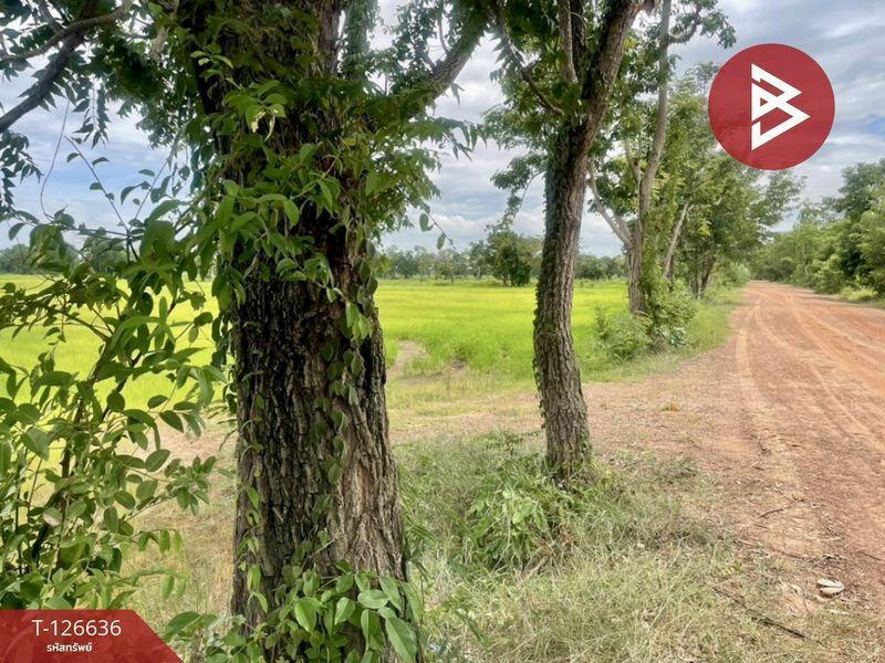 ขายที่ดิน เนื้อที่ 21 ไร่ 3 งาน 13.0 ตารางวา อำเภอเฉลิมพระเกียรติ บุรีรัมย์ 3