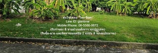 พื้นที่ดิน ขายที่ดินเปล่าถมแล้ว (แปลงหัวมุม) ในหมู่บ้านจัดสรร 116.30 ตร.ว. แถวสะพานใหม่ (BTS สายหยุด) ราคา 7.9 ล้าน 7900 2