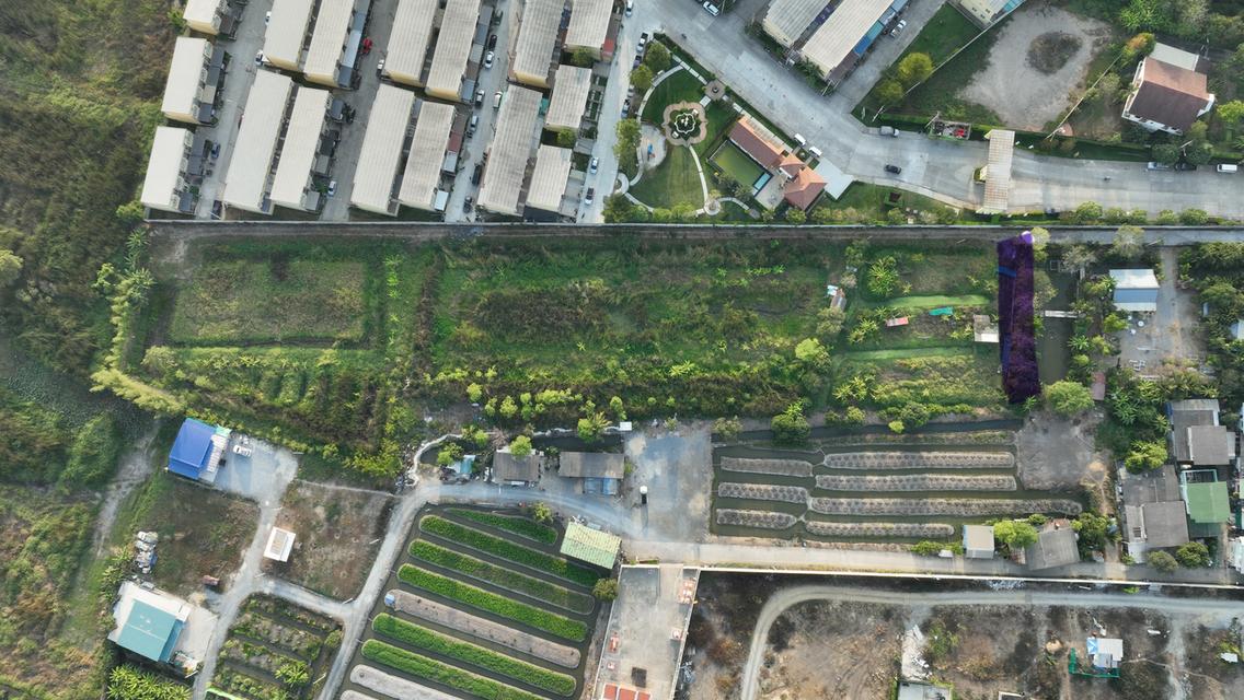 ทีดินปทุมธานีสวย5ไร่ 2