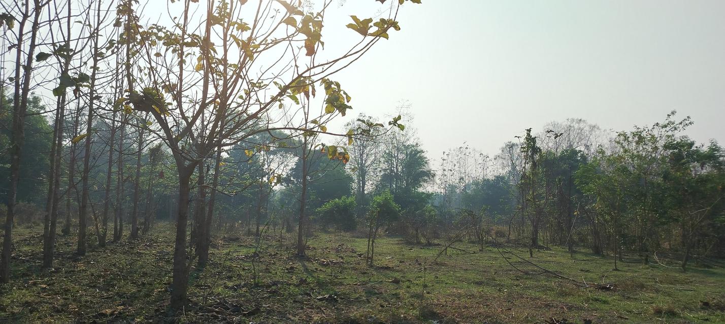 ที่โฉนดวิวเขา ห่าง อบต 1กิโล ที่หน้ากว้างติดถนน80เมตรวิวสวยมากใกล้ชุมชน 11