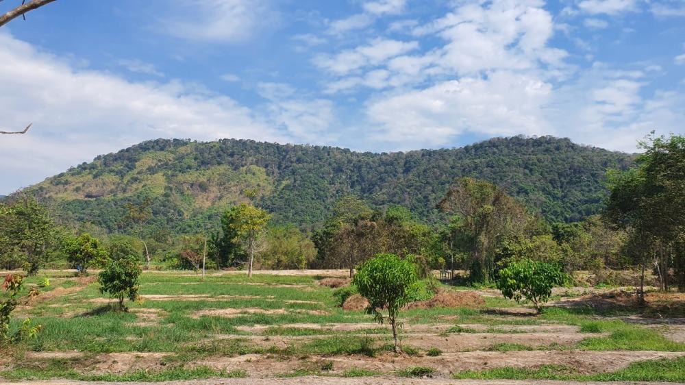 ขายที่ดินปราจีนบุรี 26 ไร่ 2 งาน 92 ตร.ว. ใกล้ทางขึ้นเขาใหญ่ ใกล้น้ำตกวังตะแคง วิวเขาอีโต้ ตำบลเนินหอม 4