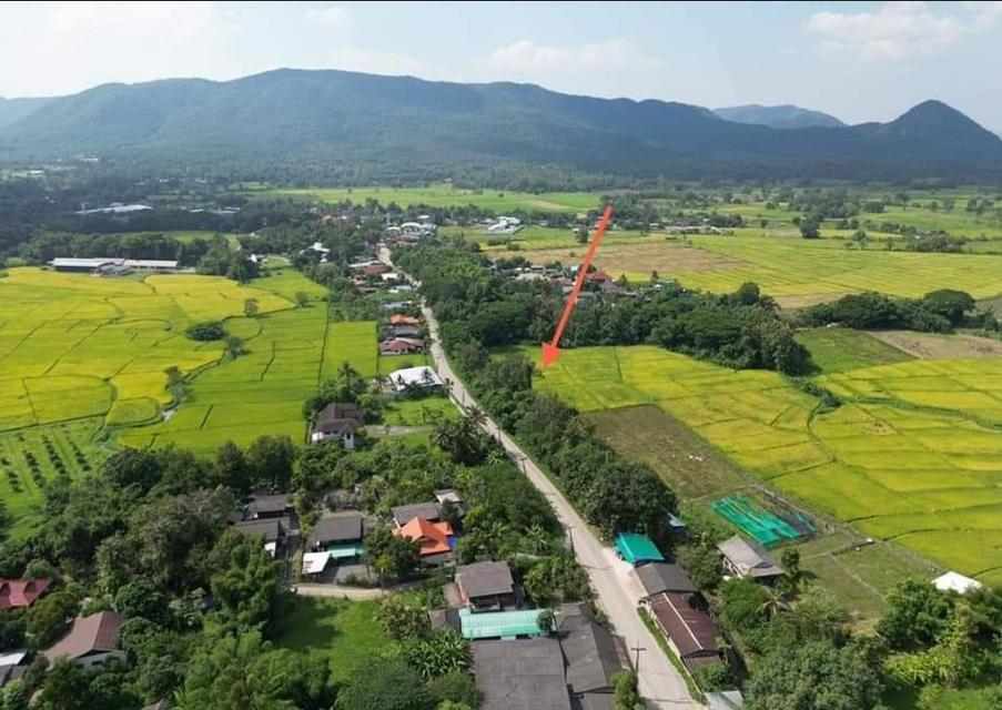 ขายที่ดิน ออนกลาง สันกำแพง 13