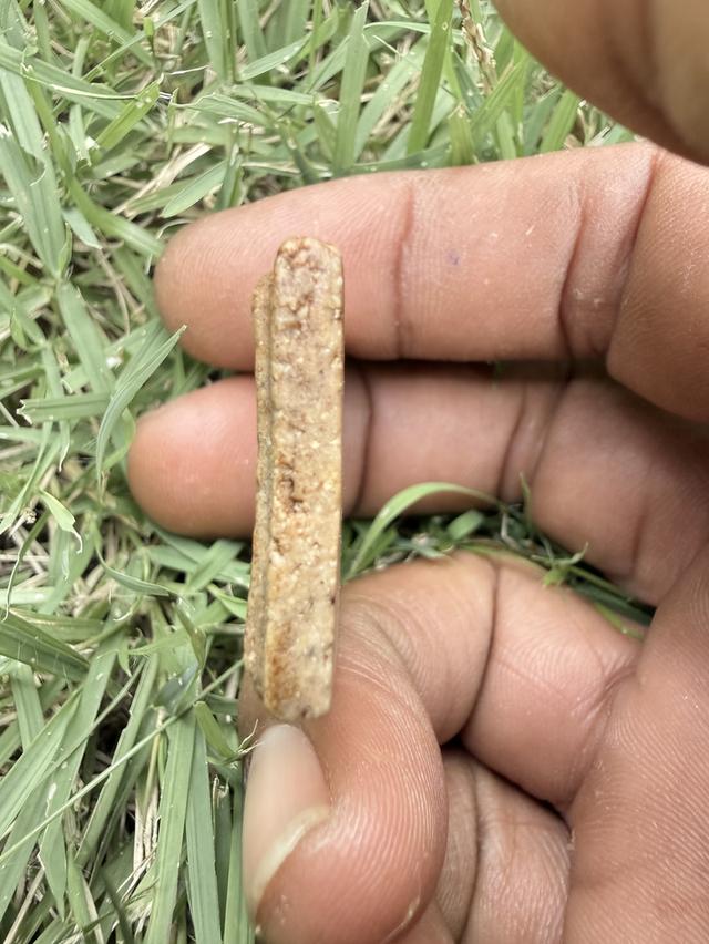 พระสมเด็จวัดระฆังวัดระฆัง 6