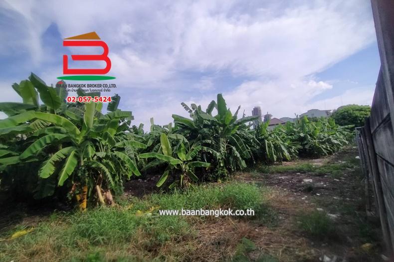 ที่ดินเปล่า เนื้อที่ 1-3-8 ไร่ จันทน์ 43 แยก 18 (ซอยสมาคมตระกูลโต๋ว), ใกล้เซ็นทรัลพระราม 3 ถนนเจริญราษฎร์ แขวงบางโคล่ เขตบางคอแหลม 9