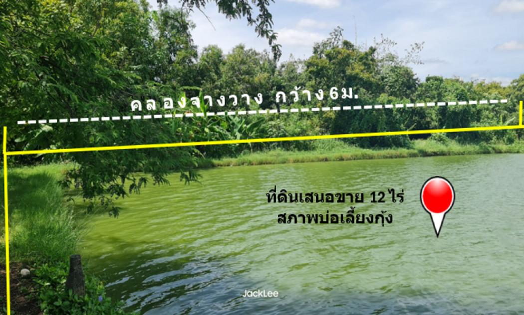 ขาย ที่ดิน ติดถนนเลียบคลองจางวาง ใกล้แม่น้ำบางปะกง อ.บ้านโพธิ์ แปลงสวย 12 ไร่ ติดโครงการบางปะกงริเวอร์ไซด์ พร้อมโอน ฟร