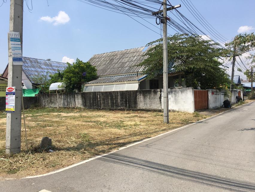 อยู่สะดวกสบาย ทำเลดี 50 ตรว. 3