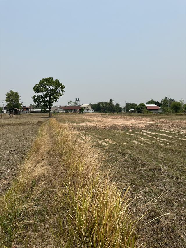 ขายที่ดิน บ้านนาดอกไม้ อ.บ้านฝาง จ.ขอนแก่น 3